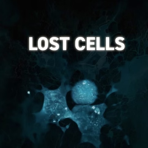 RTS – Cellules souches: le business de l'espoir.