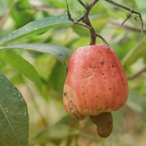 Le Nouvelliste – Un canton face aux éléments: Comment vit-on dans un canton qui s’écroule?