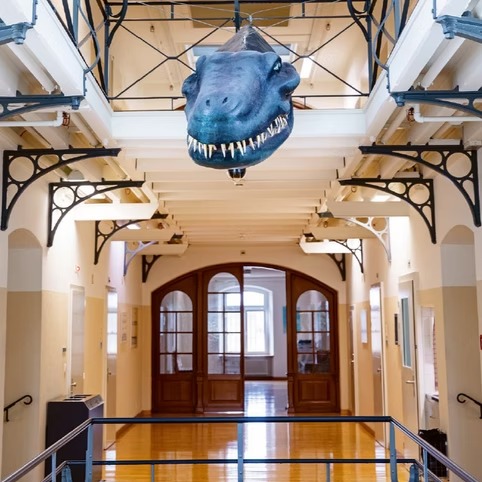 WOZ – Weggesperrt: Hinter Schweizer Gefängnismauern.